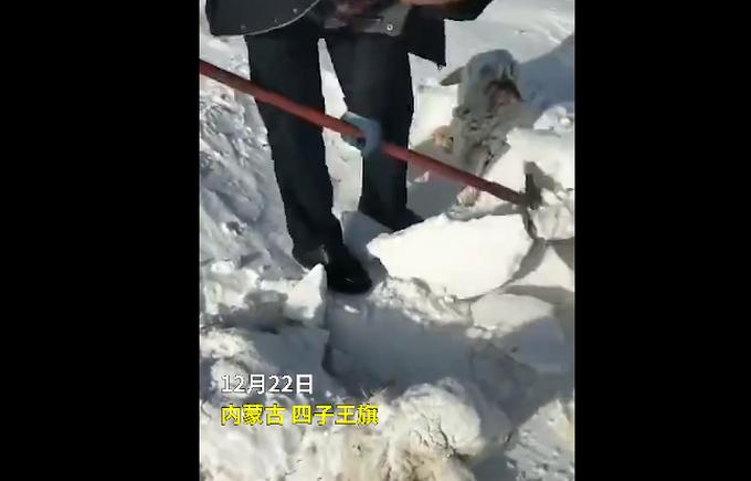 冰雪奇缘，东北小孩挖雪发现三室一厅奇迹