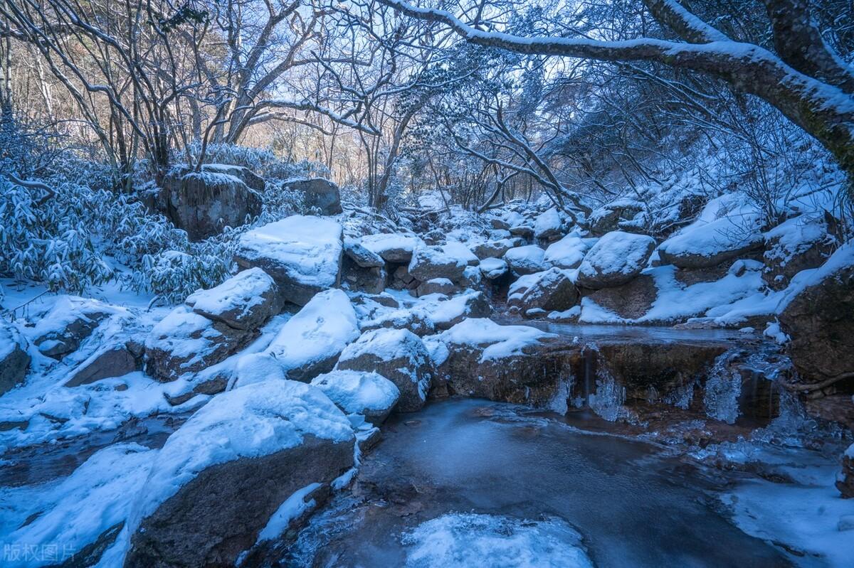 黃山金色雪景奇觀，冬日的童話與自然的魔法展現