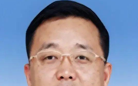 副市长违纪被双开，深度解读与反思其背后的原因及影响