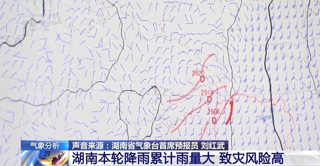 湖南某地區(qū)小學(xué)生數(shù)量十年預(yù)測，減半趨勢及其深遠(yuǎn)影響