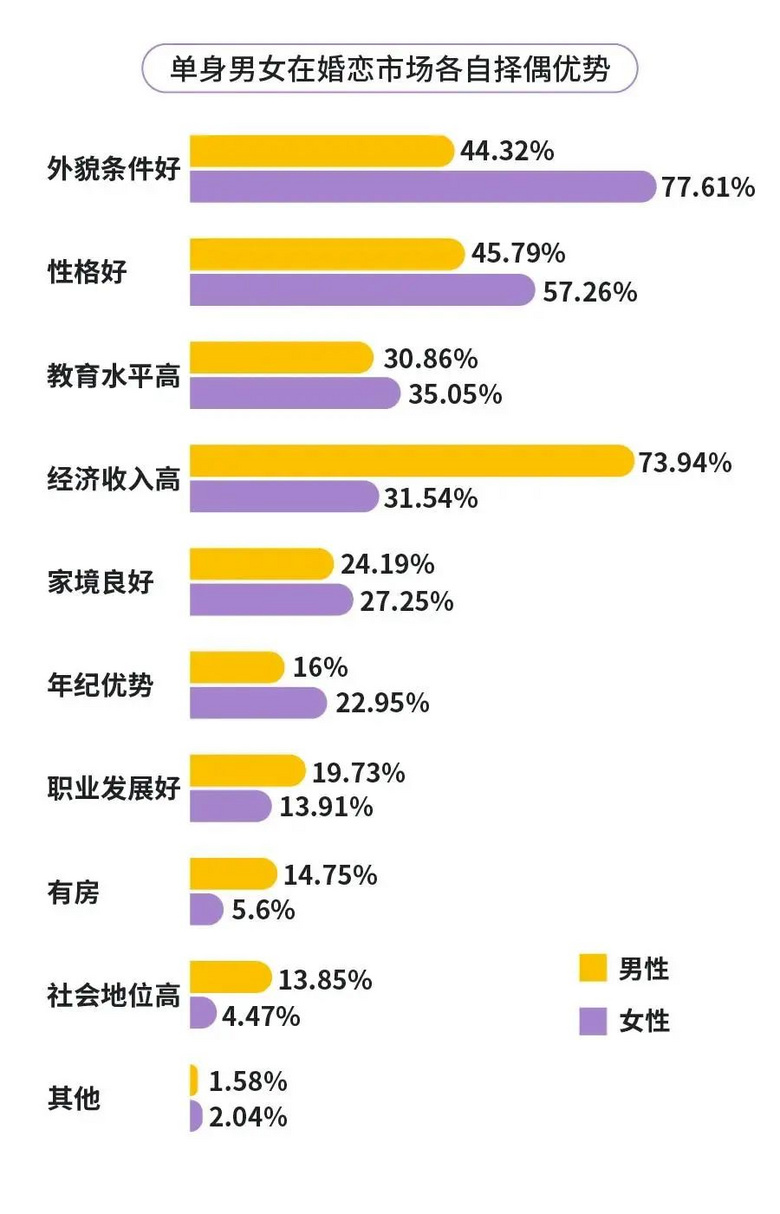 官方回应单身男女信息库，背后的真相与未来展望探究