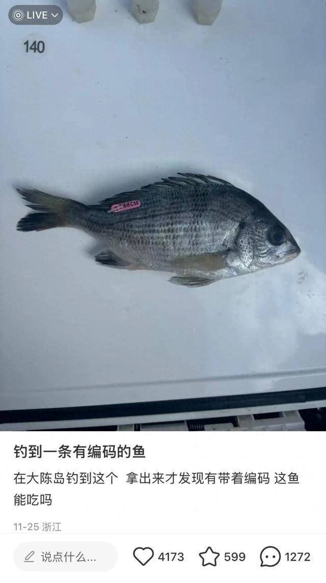 網(wǎng)友釣到帶編碼的魚 出處找到了