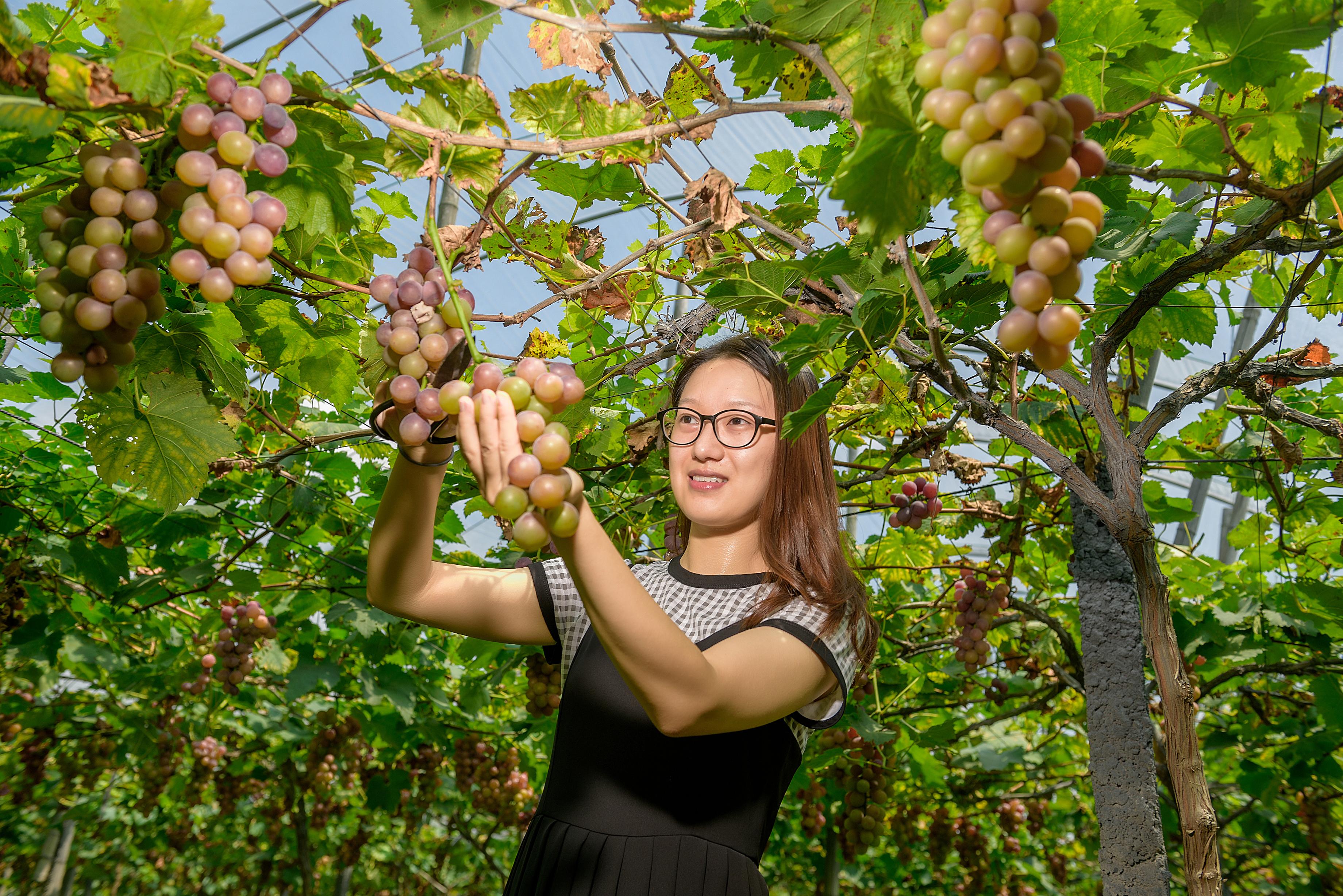 瀏陽(yáng)煙花放大招