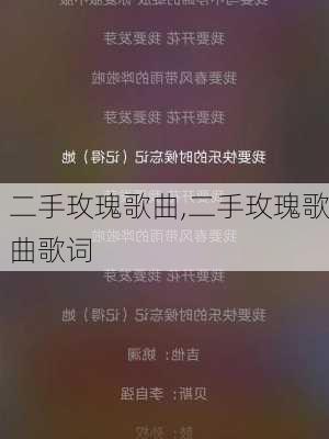 二手玫瑰最經(jīng)典歌詞