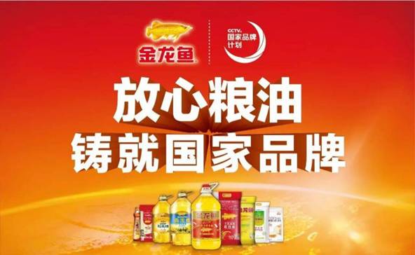 金龍魚品牌背景深度解析，起源國家與全球影響力