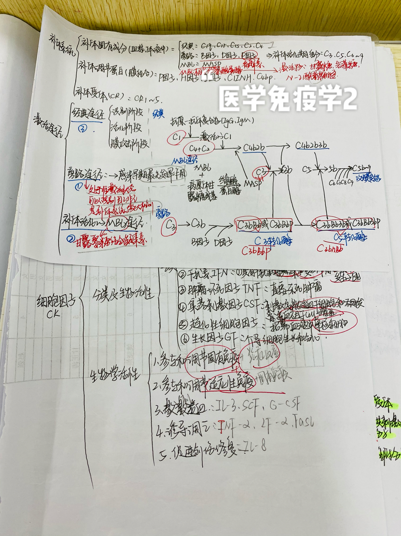 探索生命奥秘，医学免疫学的迷人之旅