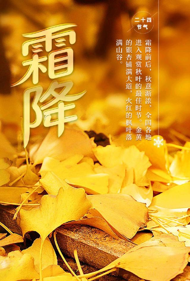 霜降溫馨祝福語(yǔ)，愿溫暖與你同在