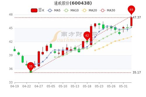 通威未来目标价，深度探索与预测分析