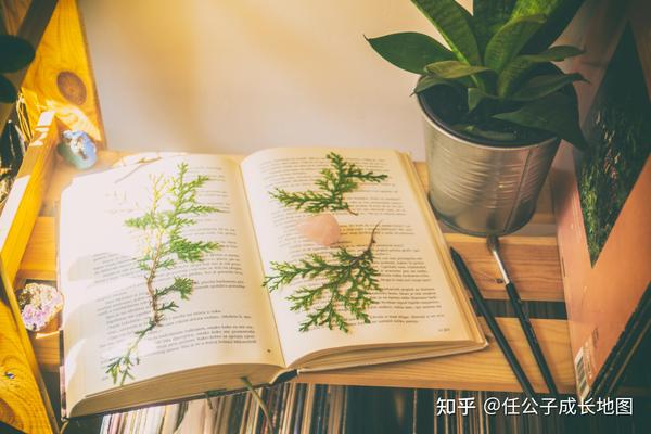 要怎么理解書(shū)中的意思？