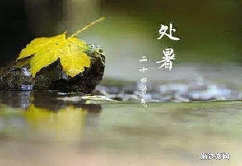 處暑是哪天——探尋中國傳統(tǒng)節(jié)氣之美