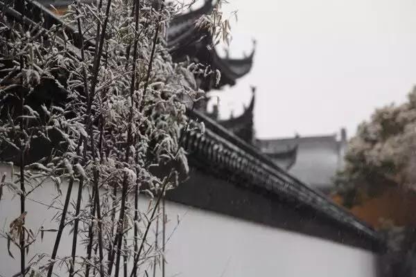 上海下雪