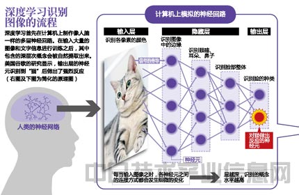 大学计算机全是深度学习，原因解析