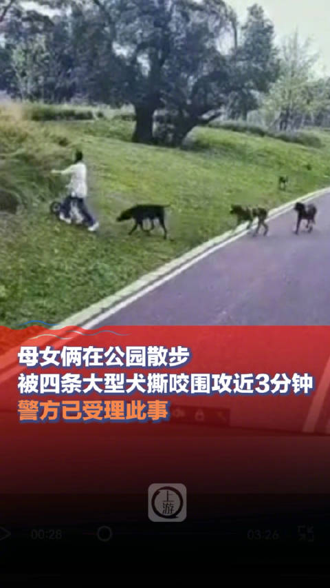 警方通報，母女公園散步遭撕咬，涉案人員被采取刑事強制措施