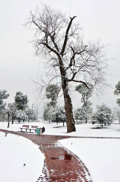 長沙下雪