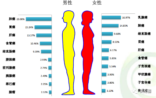 全球約有1.9億婦女為內(nèi)異癥患者